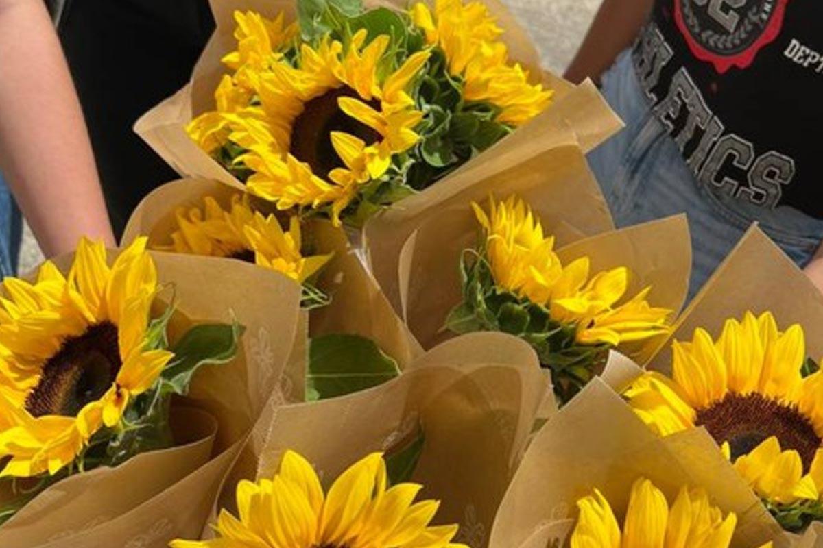 El Día de las Flores Amarillas puede tener diversos orígenes y significados dependiendo del contexto cultural en el que se celebre.