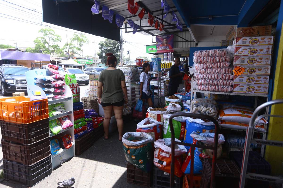 De L14,500 es el costo de la canasta básica en ciudades, de L9,000 en zonas rurales