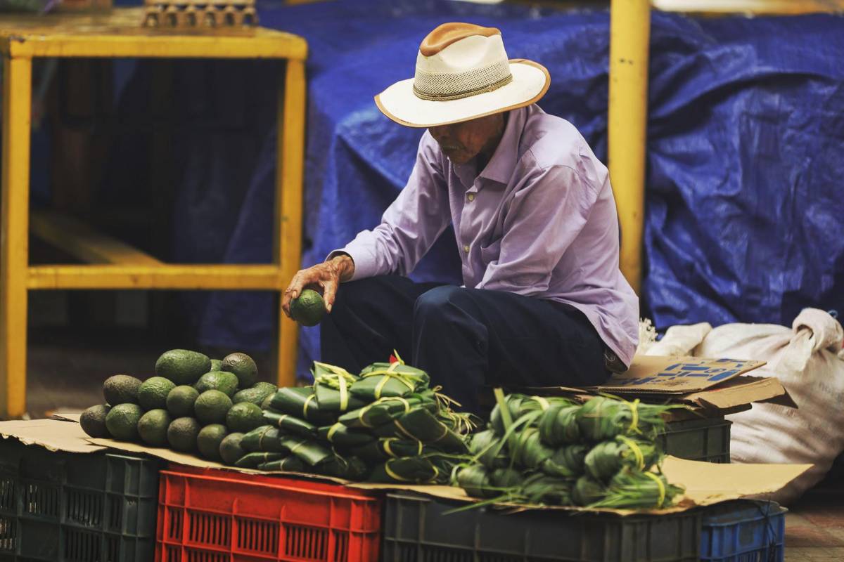 Sugieren crear mejores empleos para reducir informalidad laboral