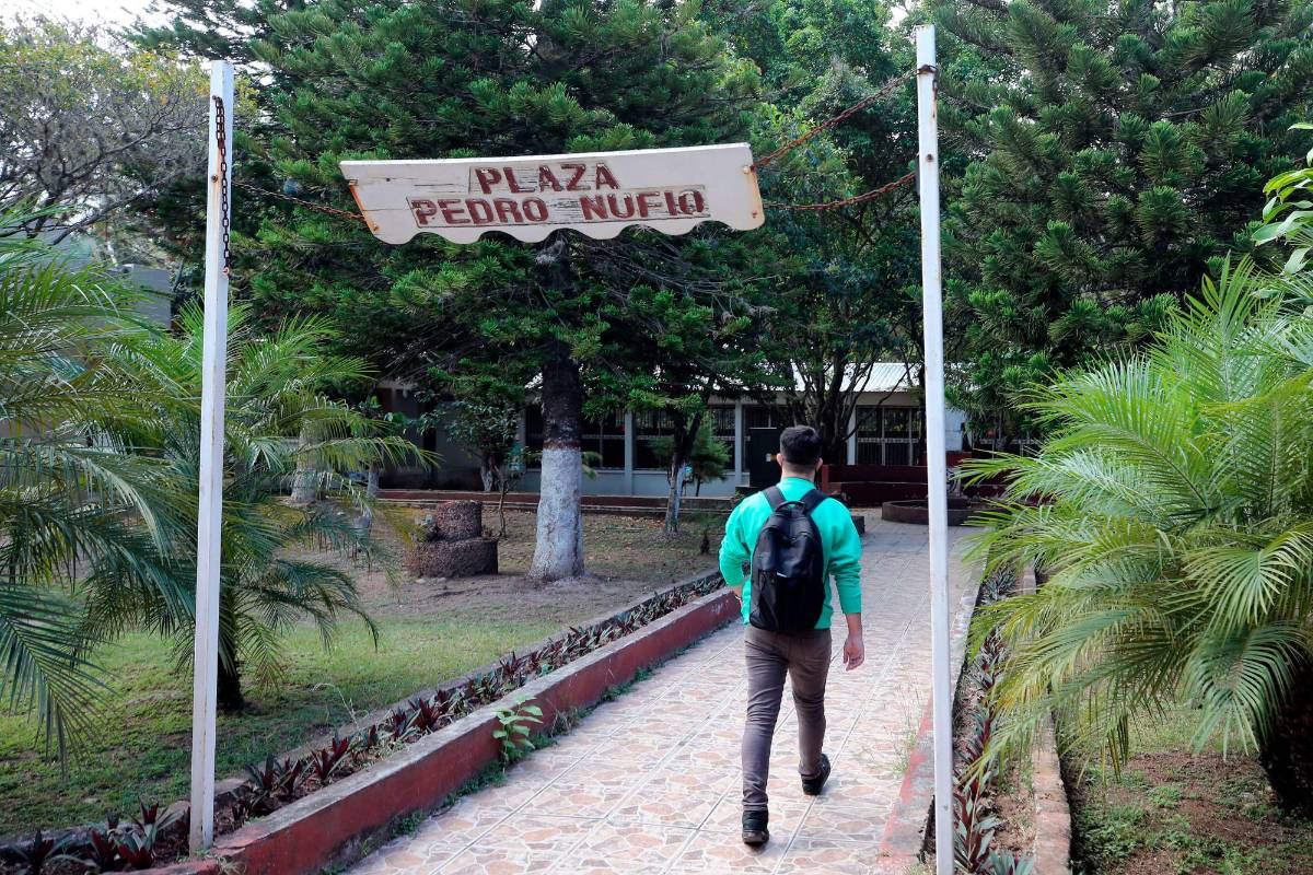 Educación: sin estrategias se abrirán las normales