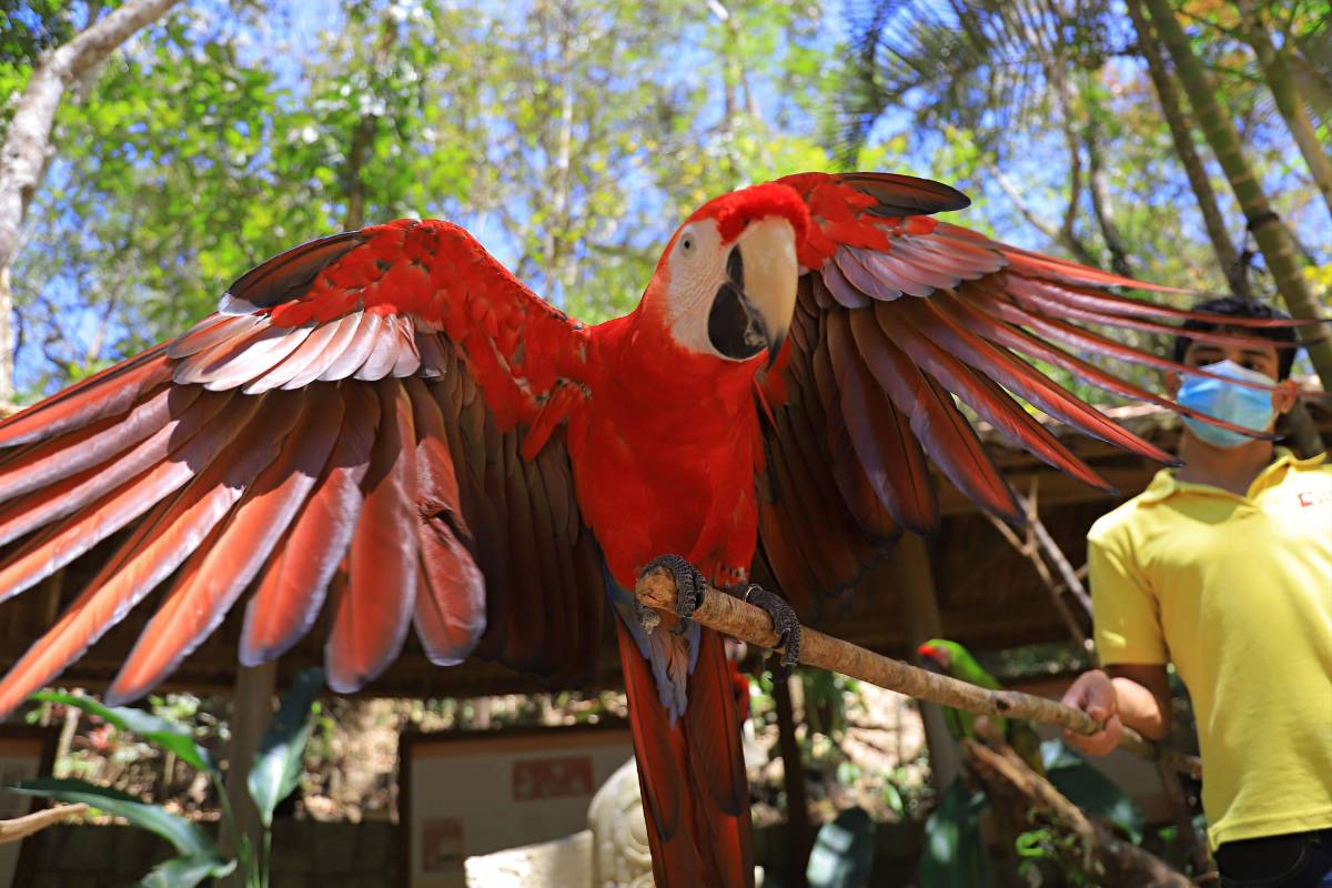 Con “burbujas familiares” evitarán covid en el feriadón