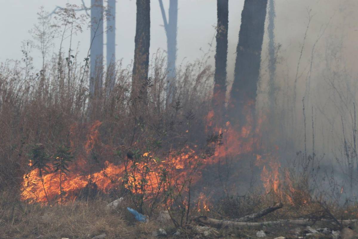 La contaminación ambiental producto de las quemas ha incrementado las enfermedades respiratorias.