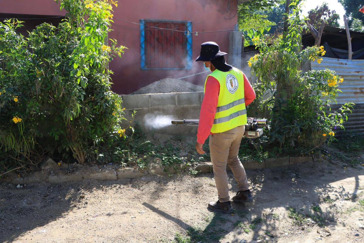 Corporación Municipal declara emergencia por dengue en SPS