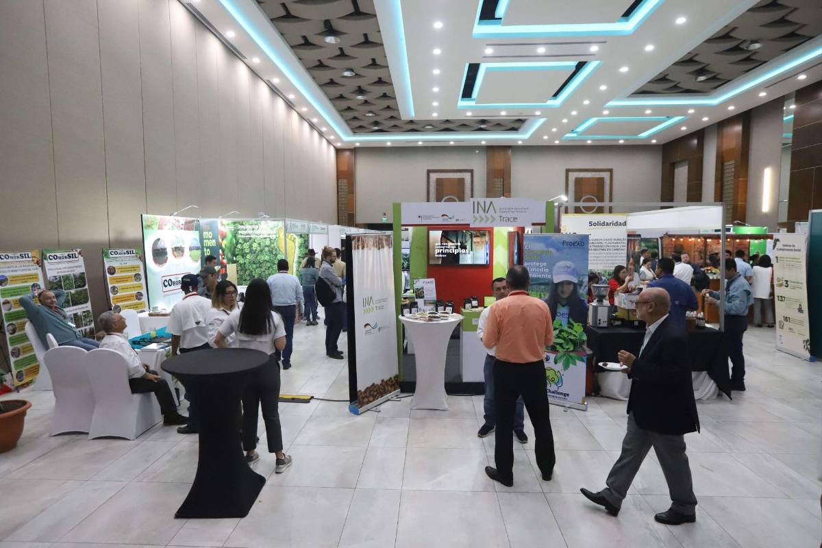 Tecnificar fincas de café, una solución a falta de mano de obra