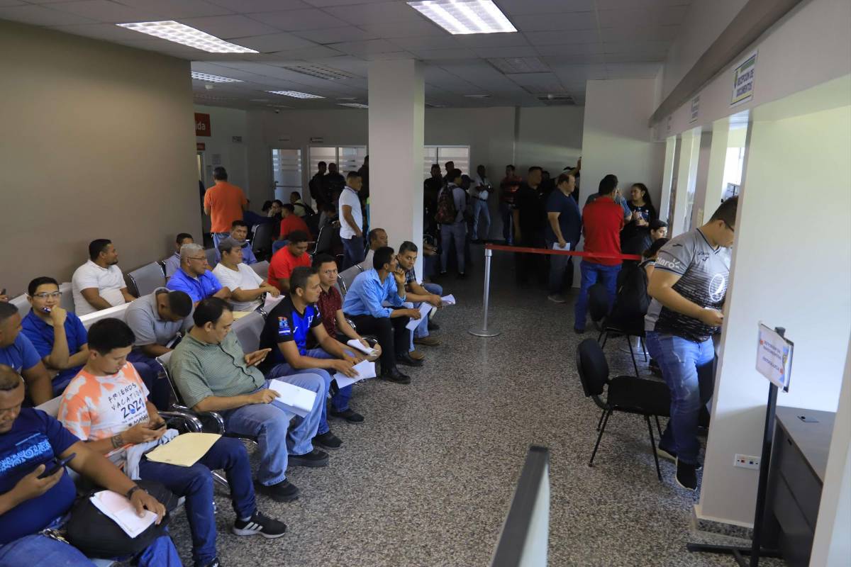 Aún no hay certeza si mandarán la licencia digital por correo o se hará por medio de aplicación.