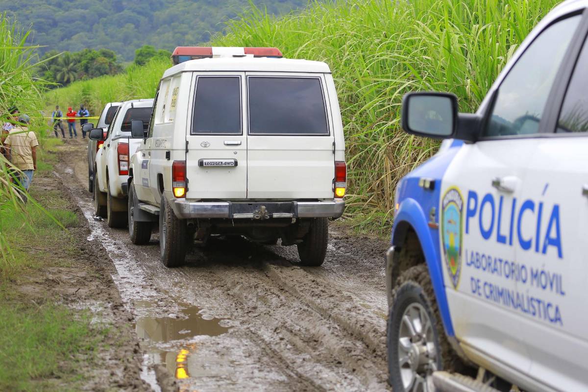 Hallan muerto en cañeras a hombre que había desaparecido