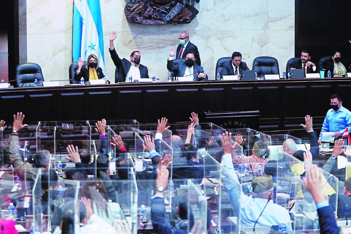 El Poder Ejecutivo, obligado a integrar Consejo con ley vigente