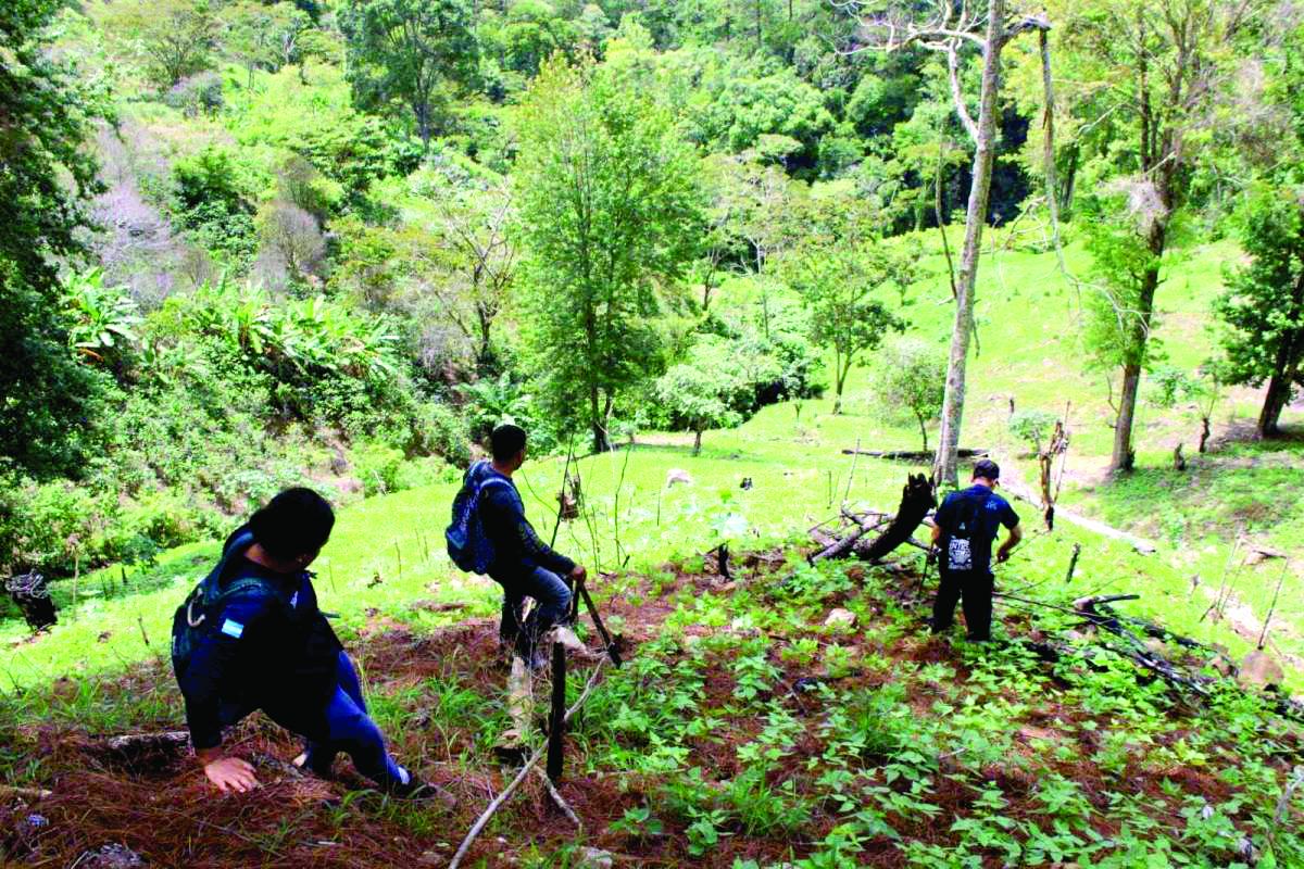 Programa Padre Tamayo eficientó ICF norte con ejecución de L6 millones