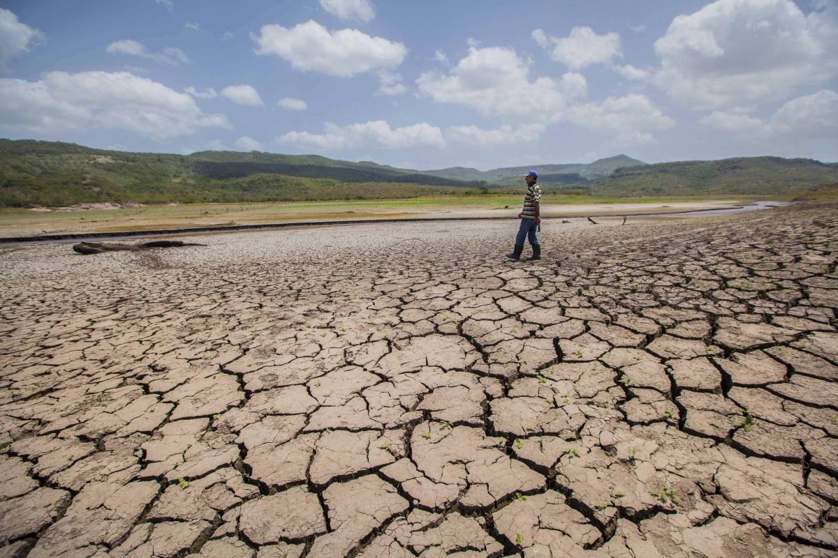 La Tierra sigue calentándose peligrosamente: 2022 fue el sexto año más cálido