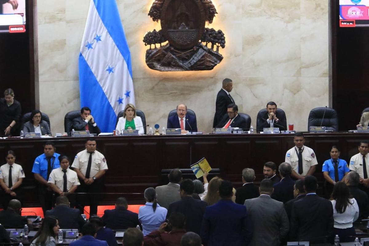 Accidentada sesión en el CN tras dos meses de inactividad; diputada reaccionó furiosa