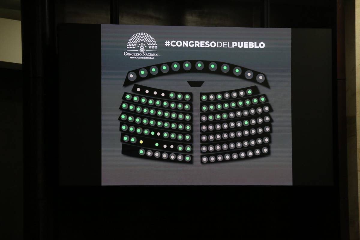 Votación de los diputados del Congreso Nacional.