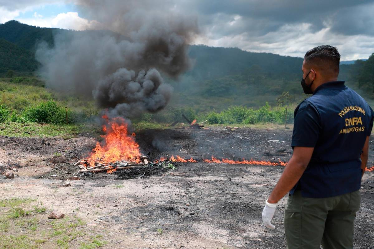 Incineran 48 kilos de cocaína en Tegucigalpa