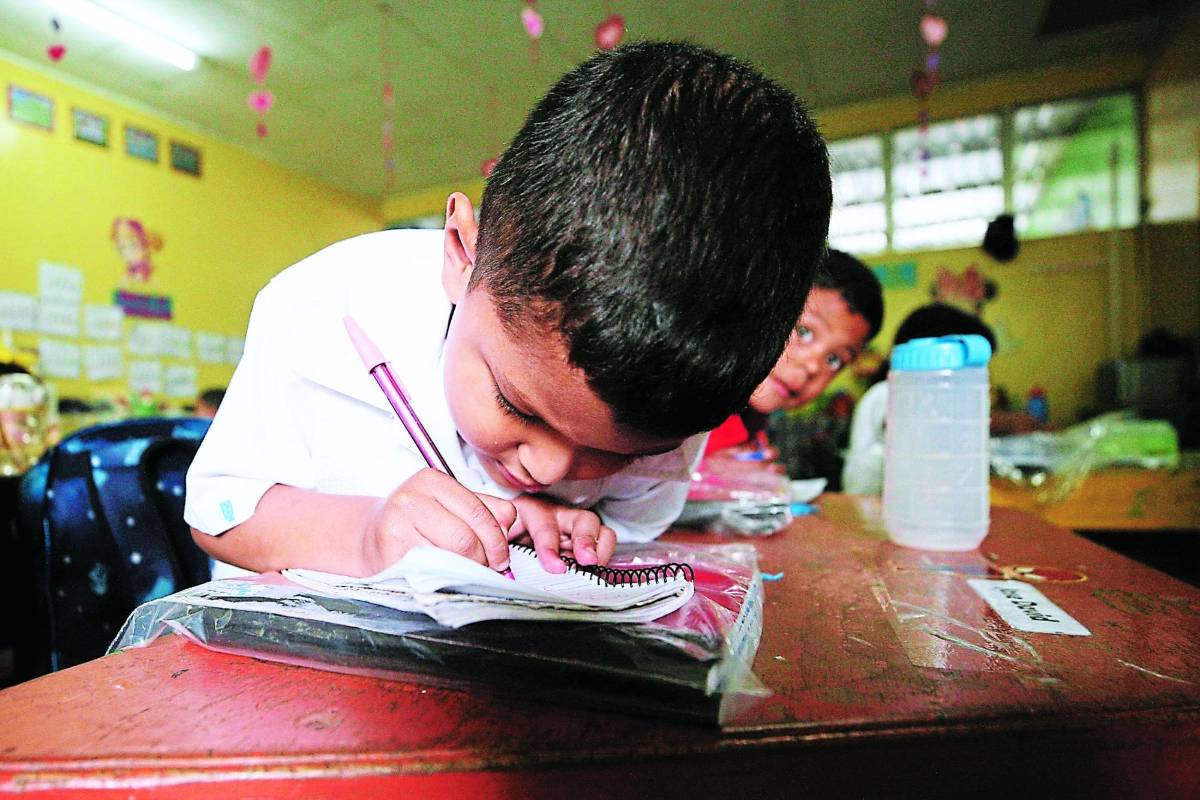 En 18% se mantiene deserción escolar en zonas rurales de Honduras