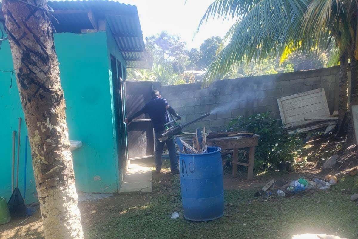 Fumigan escuelas de Puerto Cortés para prevenir dengue