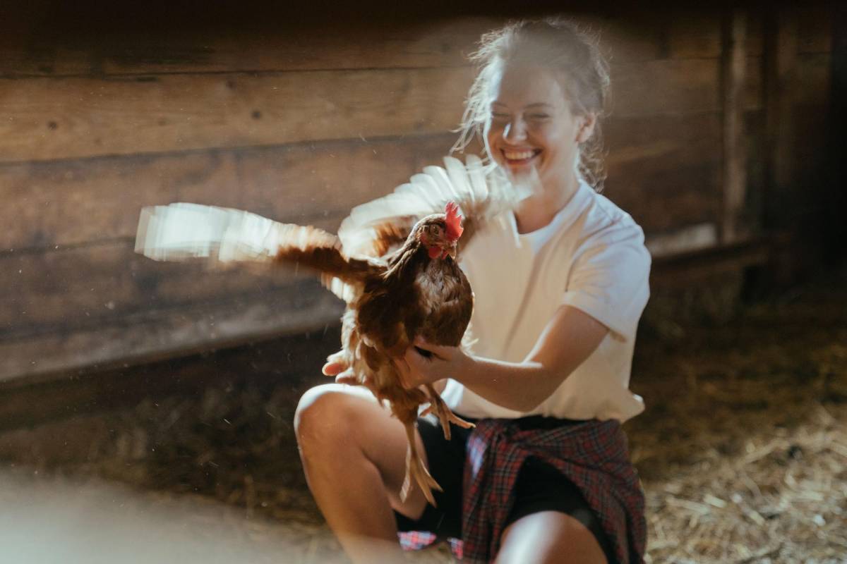 Cuidar varias mascotas ayuda con la salud mental y mejora los hábitos diarios