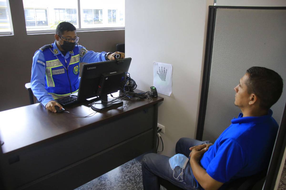 Tránsito advierte sobre estafas para obtener licencias de conducir de forma fácil