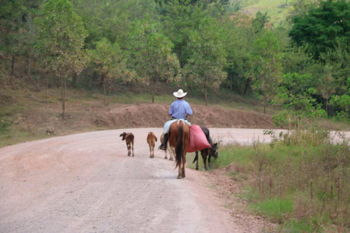 Preocupa paralización de carretera