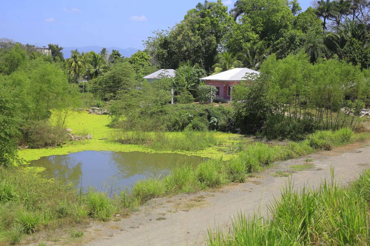 Pobladores dicen que algunos tramos fueron reparados, pero hay otros que quedaron dañados desde Eta y Iota.