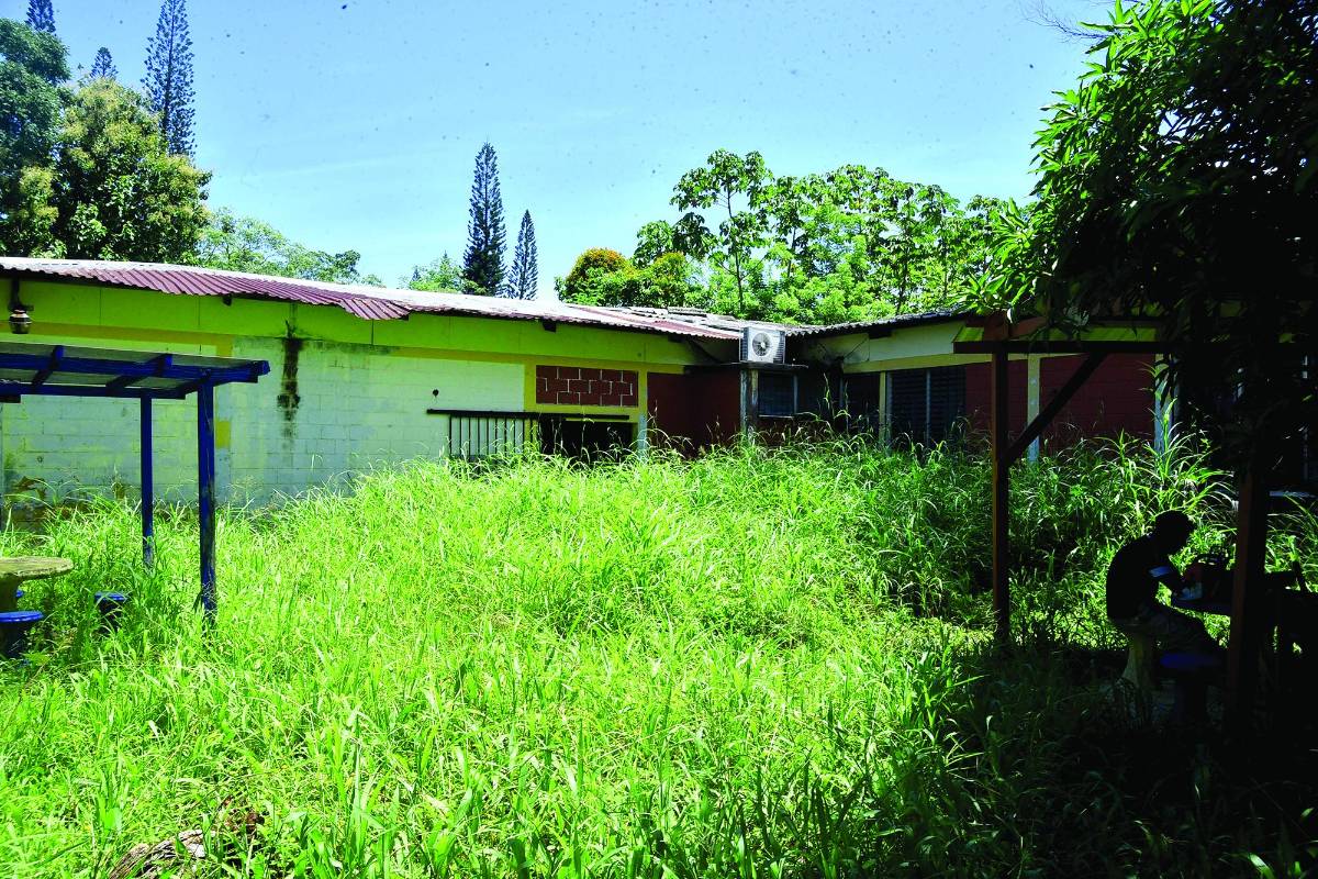 Esperan que en diciembre nombren director para el abandonado Curla