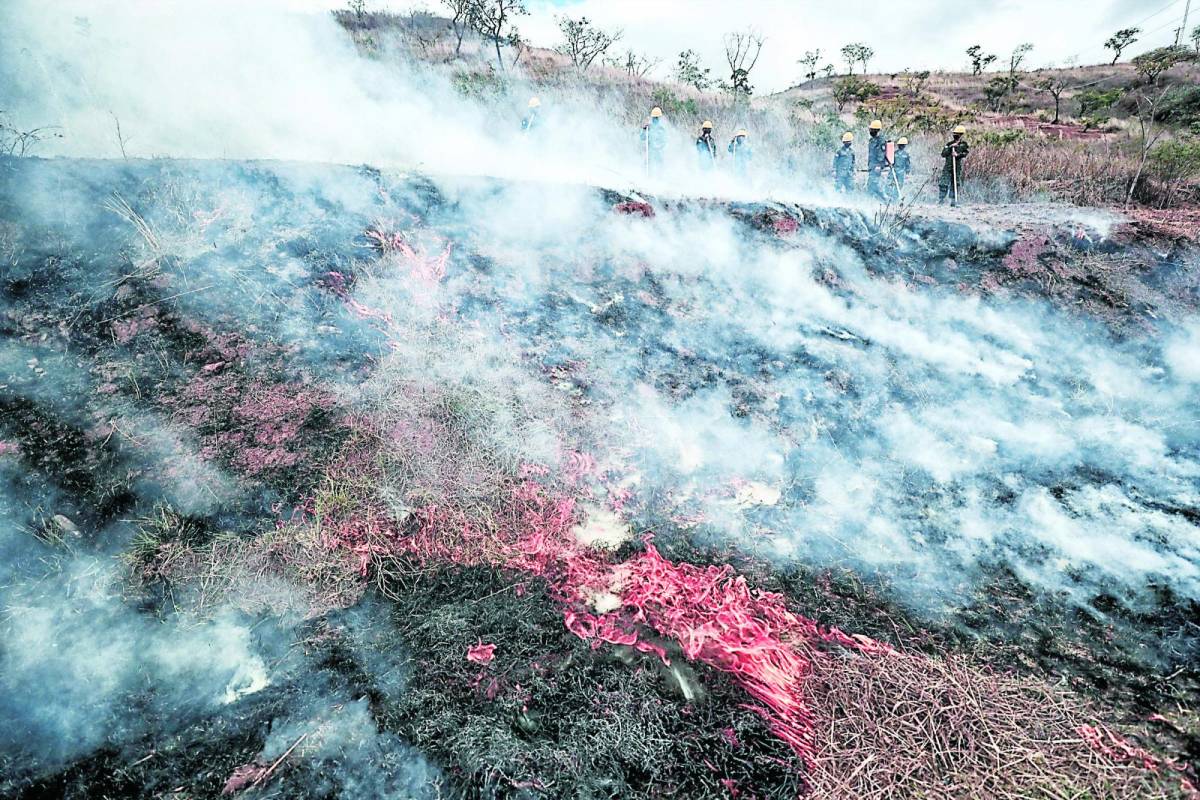 En 150% crecen las áreas afectadas por incendios forestales en la zona norte