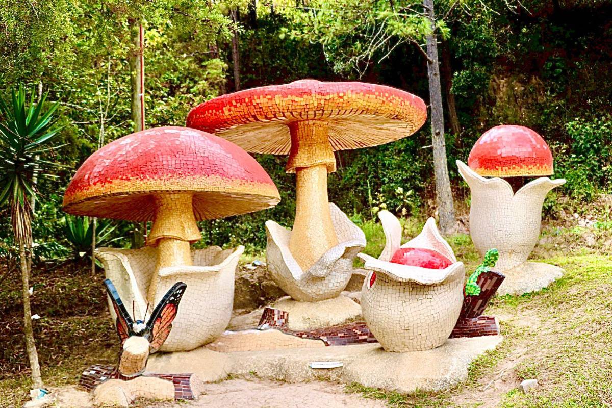 Seta Amanita Caesarea.