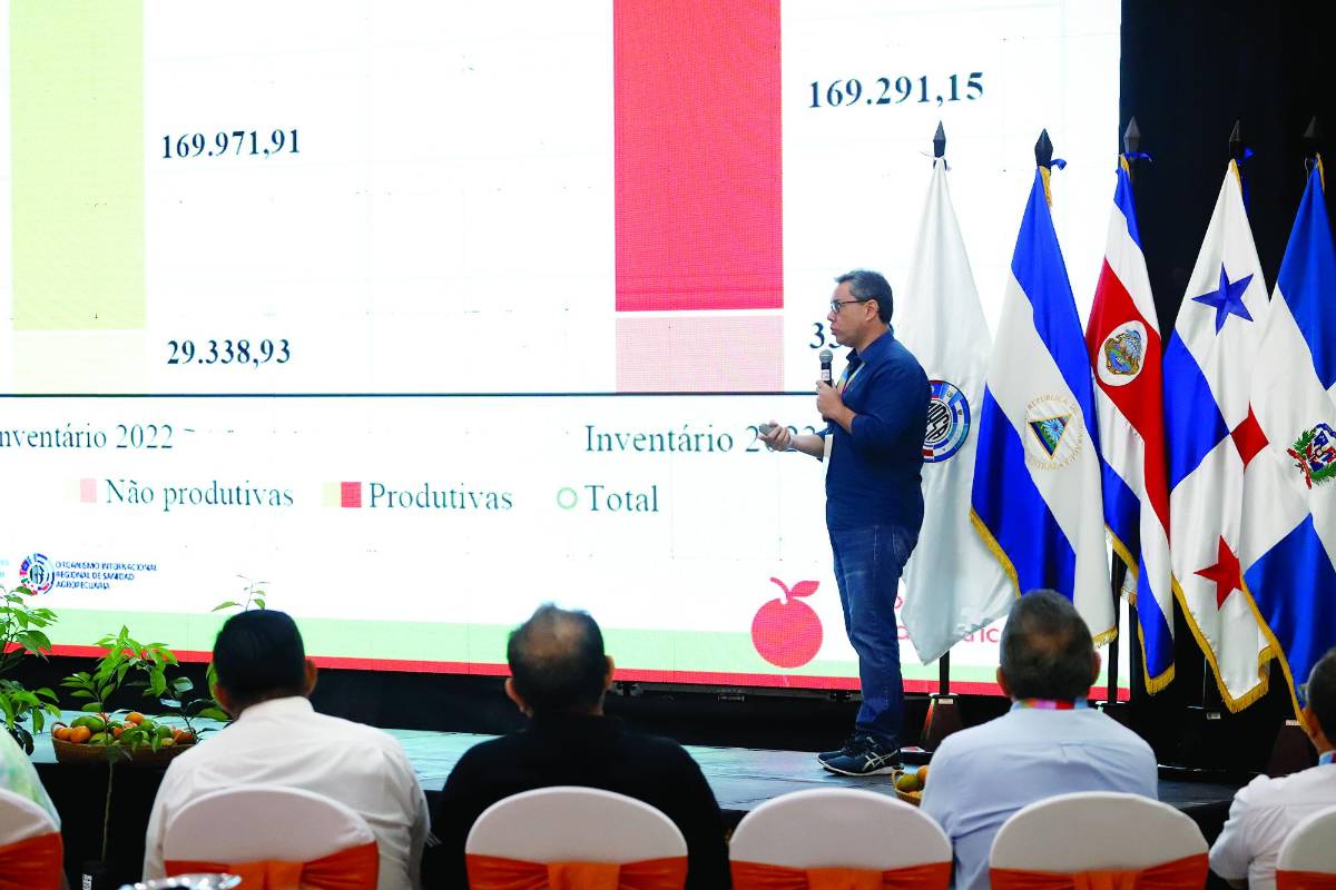 Investigadores trabajan en desarrollo de biotecnología para hacerle frente a esta enfermedad. Hasta la fecha, las técnicas más efectivas han sido eliminar plantas infectadas y tratar los cultivos con insecticidas.