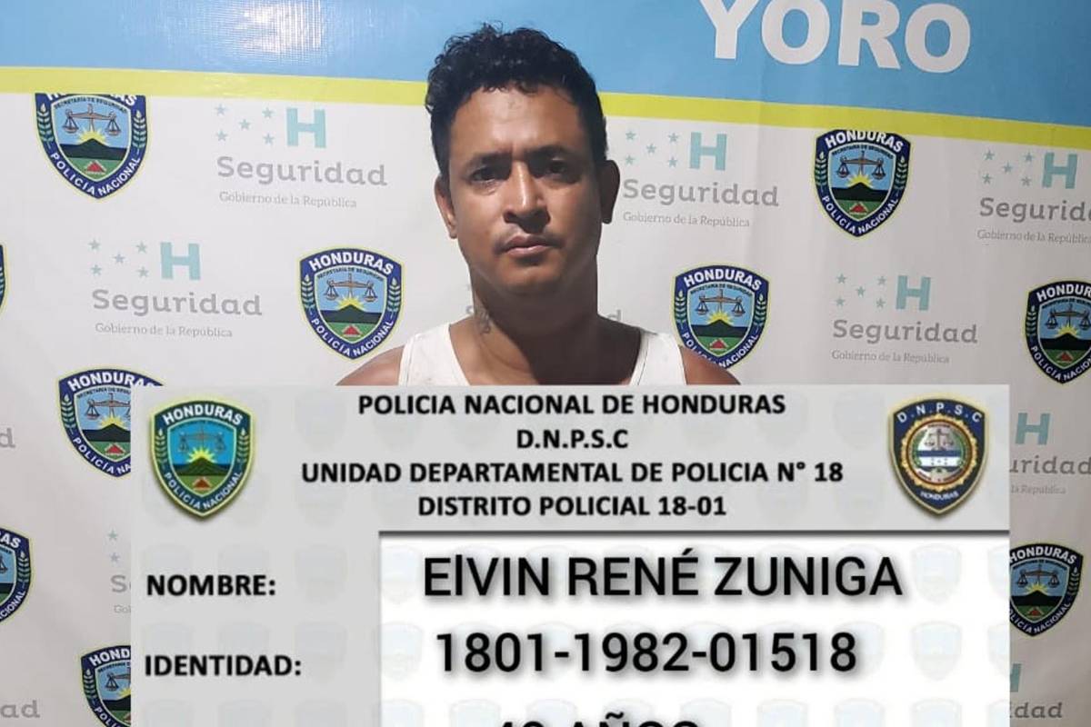 Hondureño es enviado a prisión por matar a un perrito