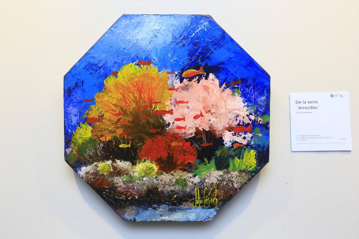 Julio César Contreras presenta “Arrecifes y colores”: arte marino y conciencia ambiental