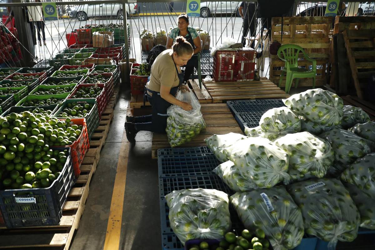 El Salvador abre una central de abasto de alimentos “a bajo costo” como medida económica