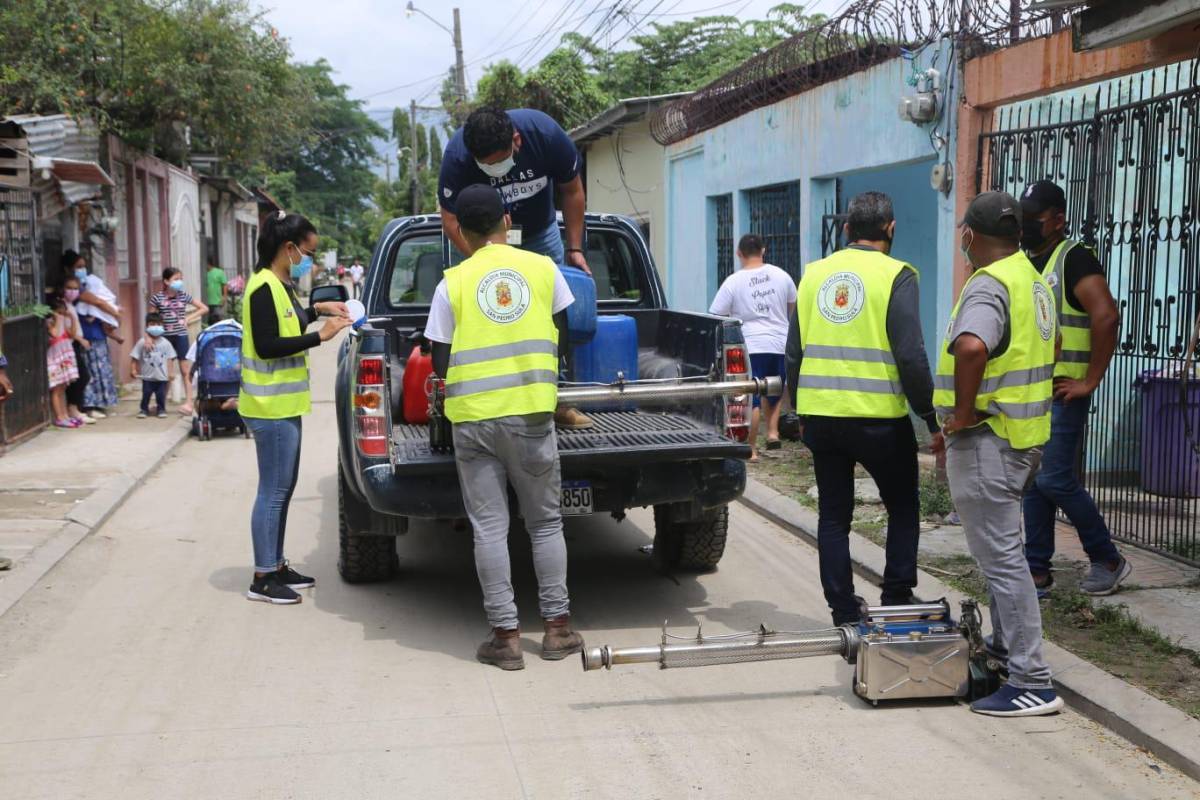 Personal de la municipalidad realizando trabajos de fumigación.