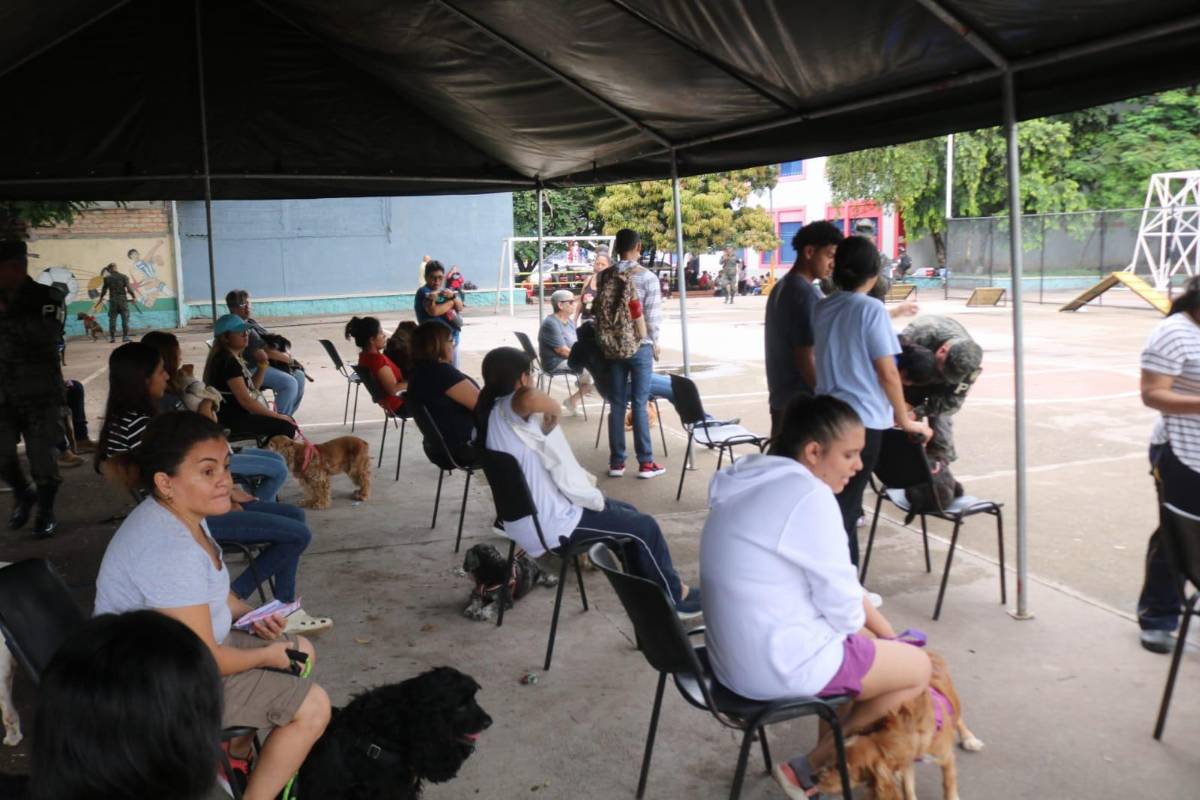 Policía Militar celebra brigada médica canina en Tegucigalpa