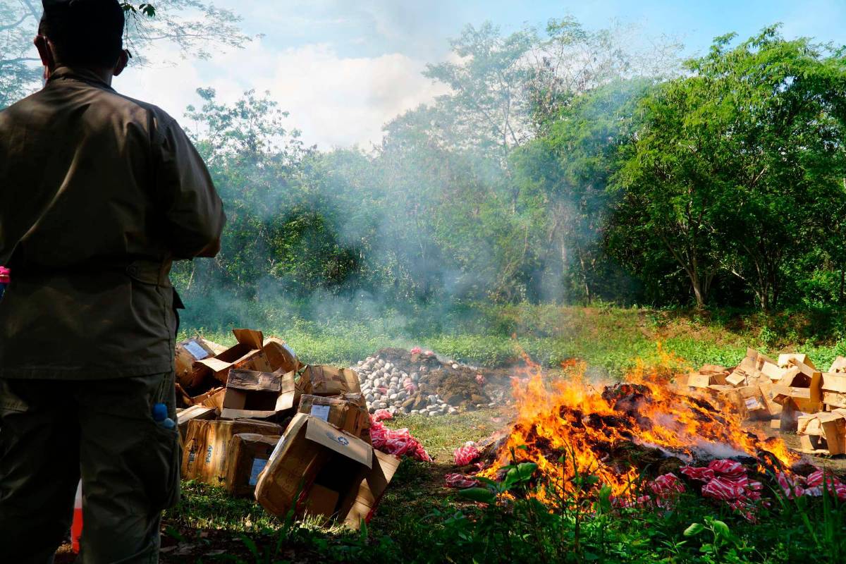 Queman 8 toneladas de droga valorada en L12 millones