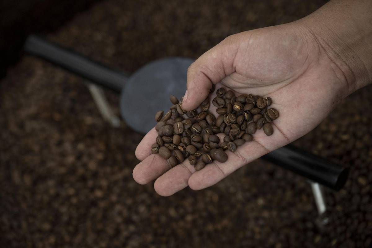 Empresarios de Guatemala afirman que China les prohibió exportar café y macadamia