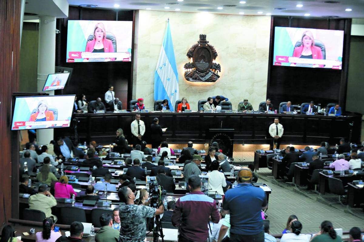 Piden respetar las funciones del CNE