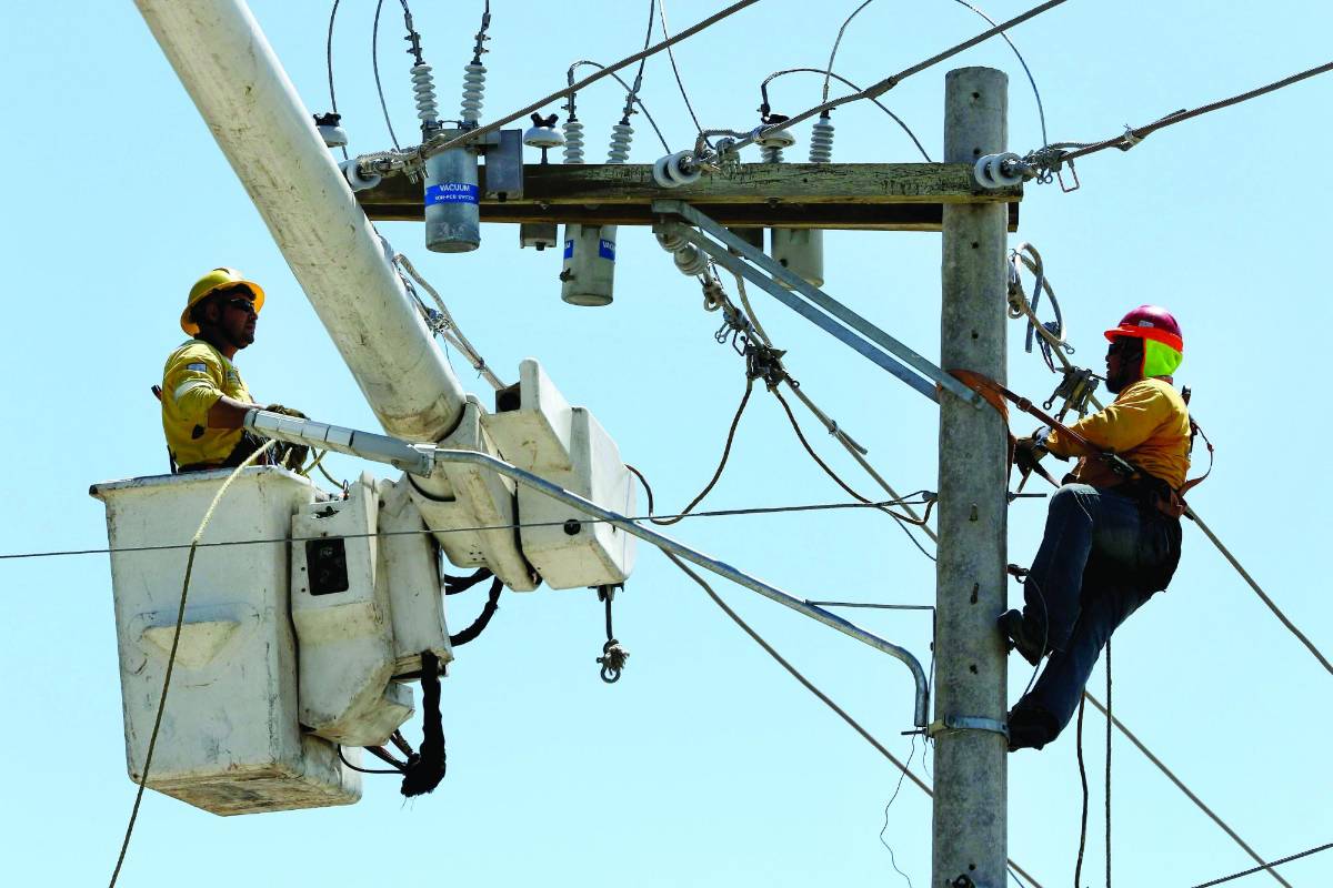 La Enee pierde L56 millones al día por mala transmisión