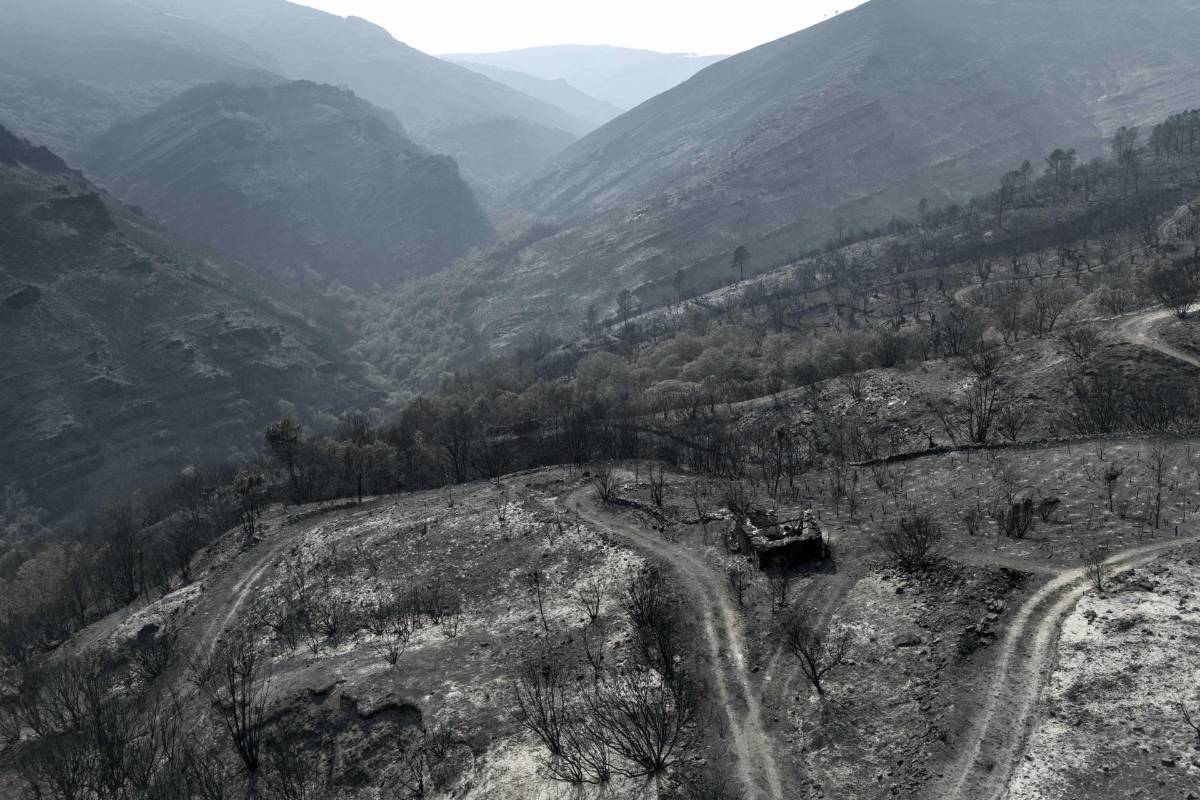 España en llamas: incendios arrasan miles de hectáreas