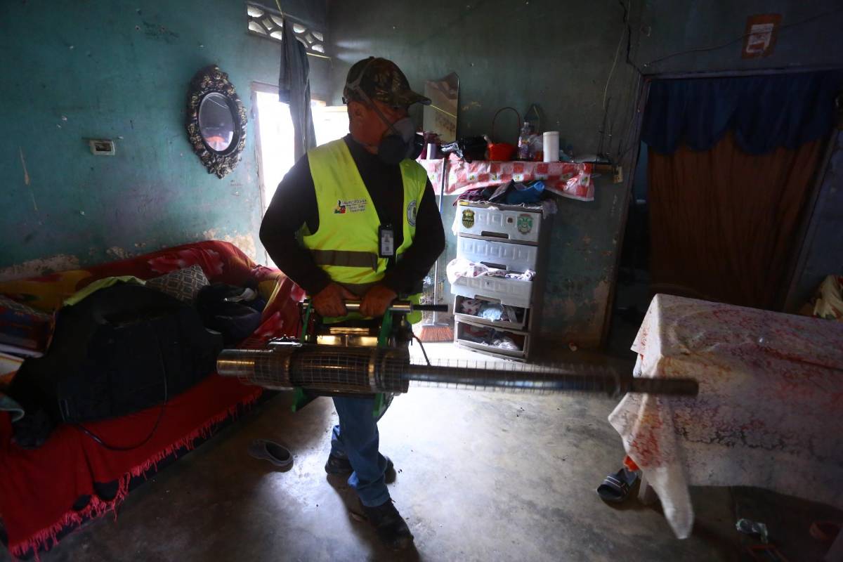 Cortés acumula 767 casos de Dengue en lo que va de 2024