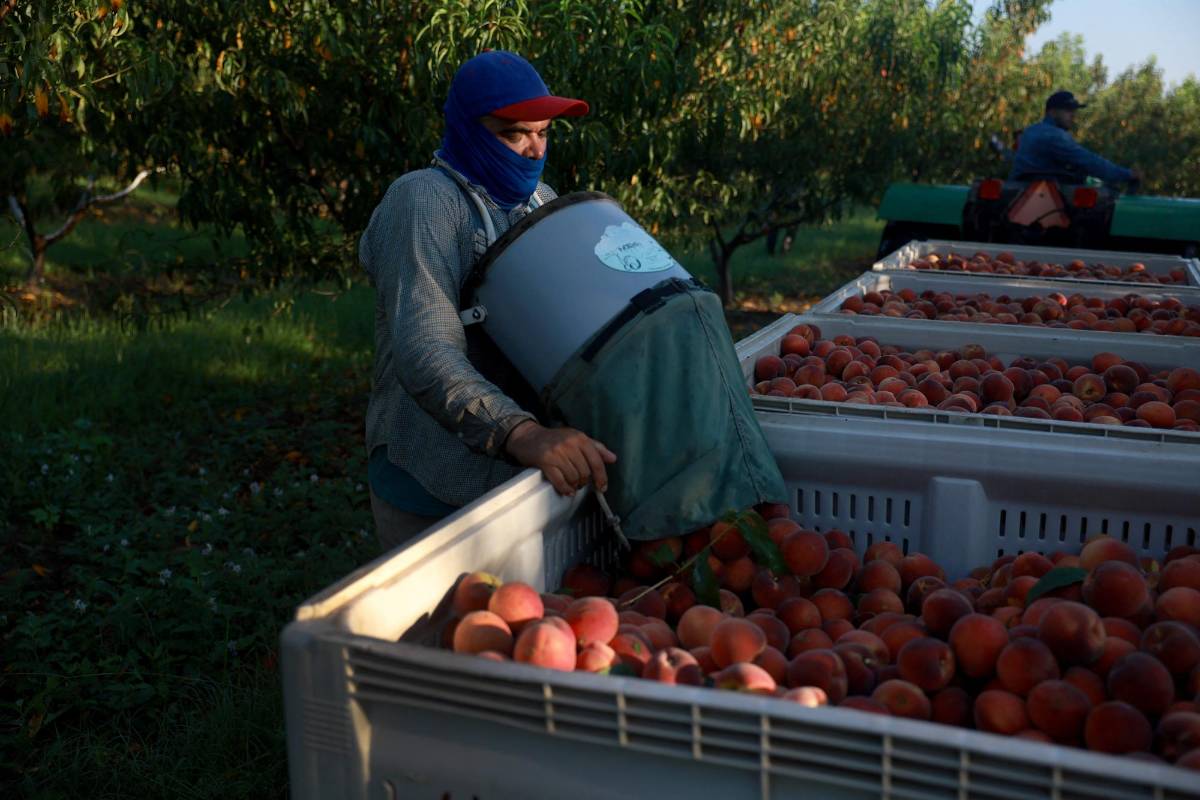 “Huelga de sed” en el Capitolio de EEUU por trabajadores al aire libre ante ola de calor
