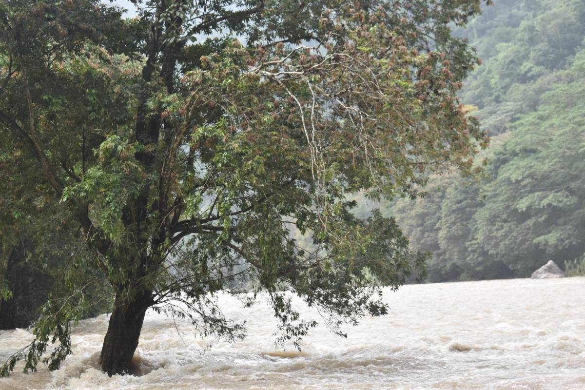 Debido a estas condiciones, la Comisión Permanente de Contingencia (Copeco), decretó una alerta amarilla en La Ceiba, y verde para el resto del departamento de Atlántida y Colón, por 24 horas a partir de las 7:00 pm de este jueves.