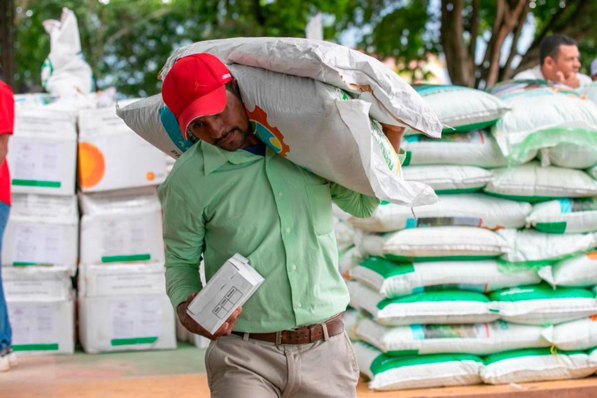 Levantarán censo para dar el bono agrícola