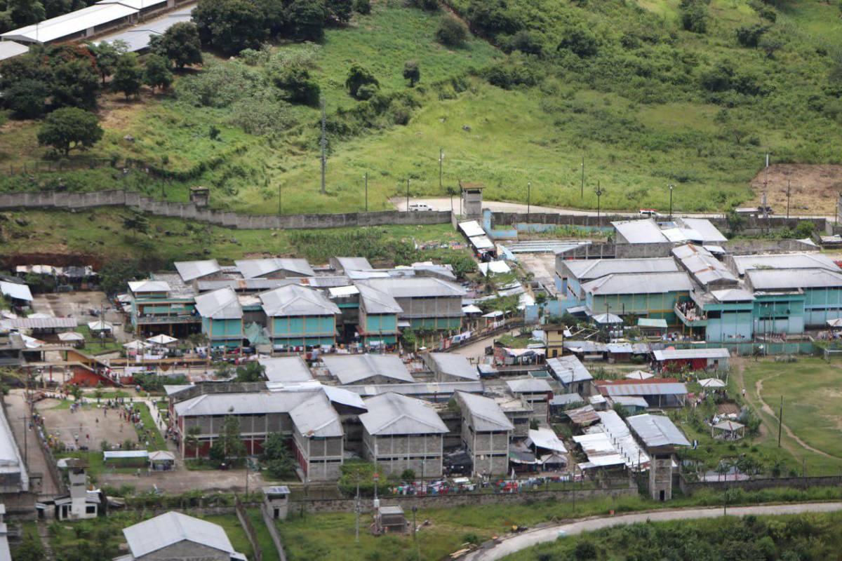 Boxer Huber: el día que lloró, su poderío y violento final
