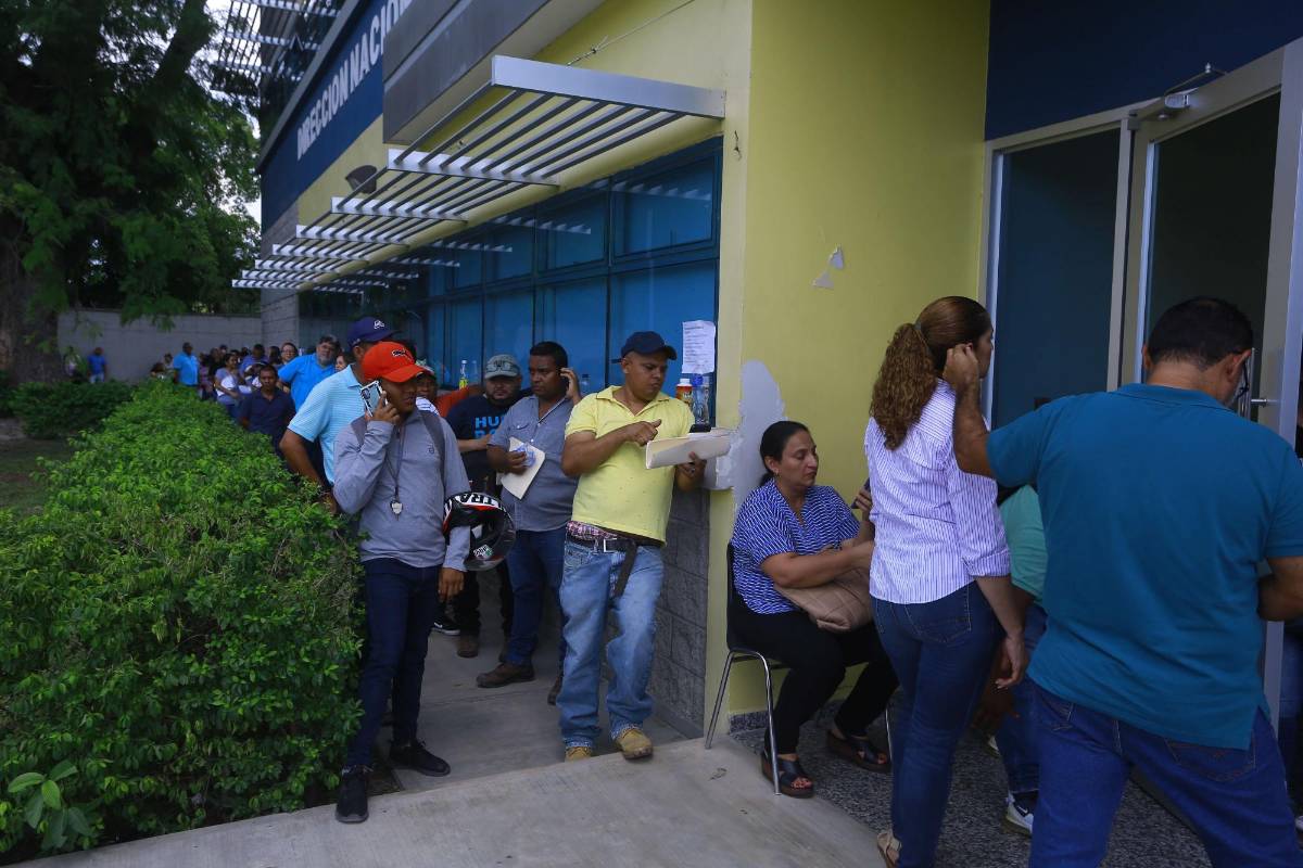 Tránsito advierte sobre estafas para obtener licencias de conducir de forma fácil