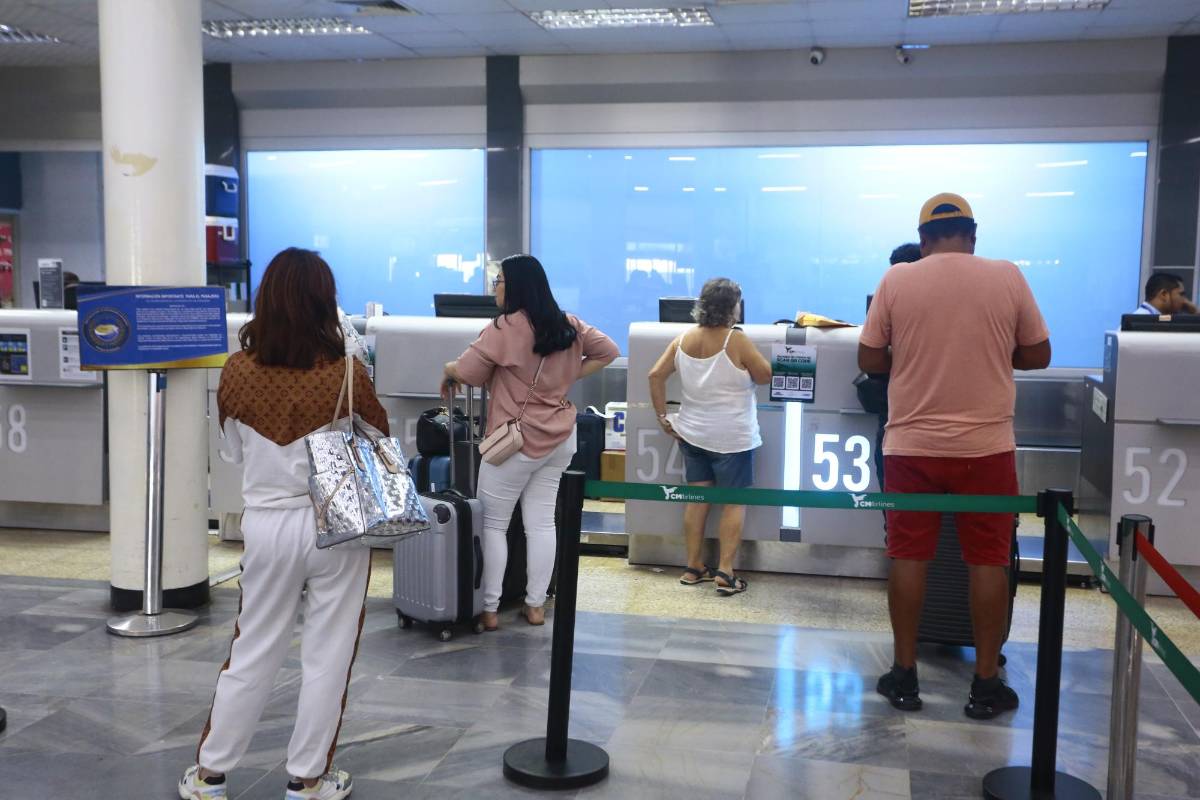 Esto es lo que debes saber si quieres viajar con tu mascota