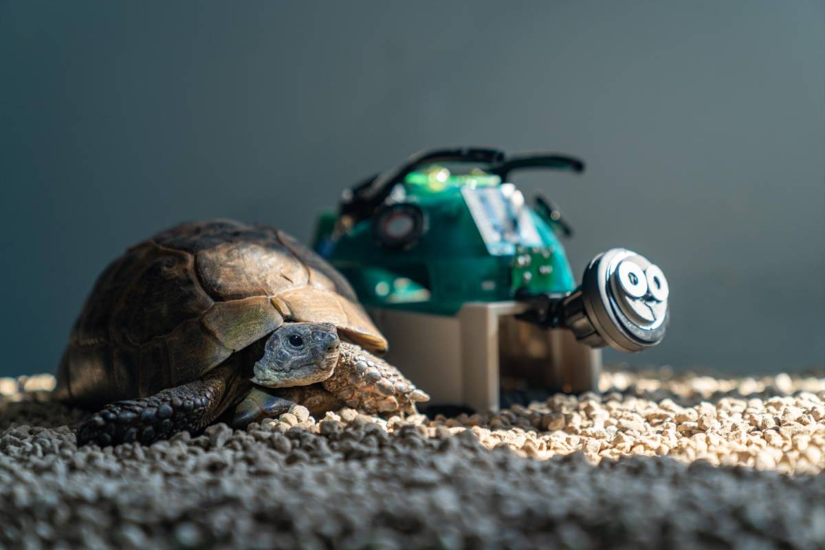 Meta presenta CM3leon, herramienta de IA capaz de generar imagen desde texto y viceversa