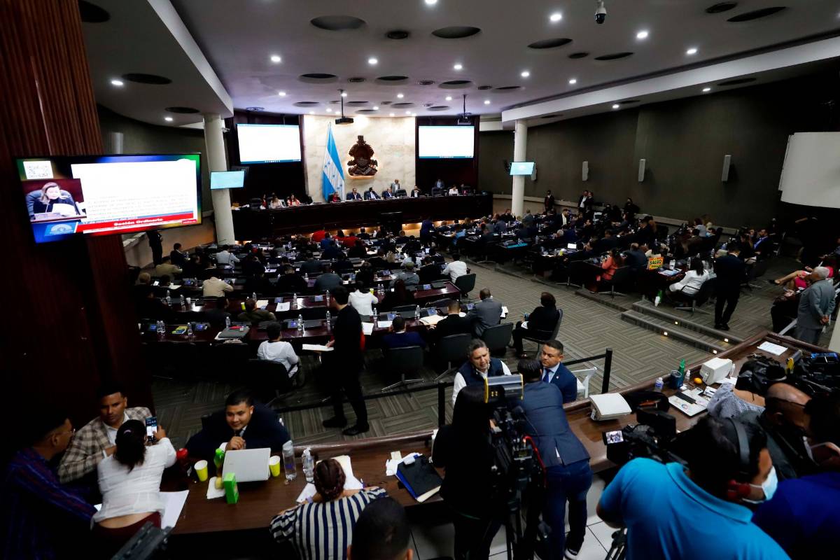 Congreso Nacional suprimirá artículos de las compras directas