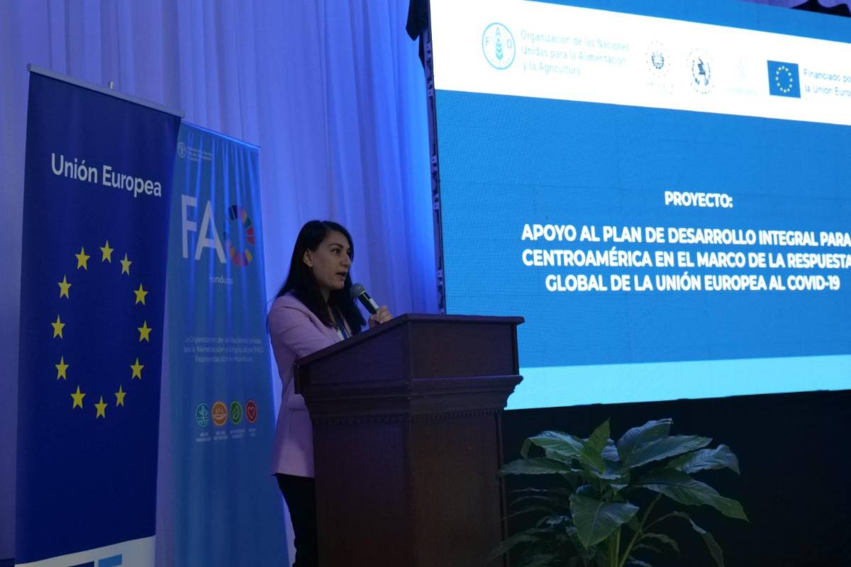 Presentan resultados del proyecto de desarrollo integral para Centroamérica