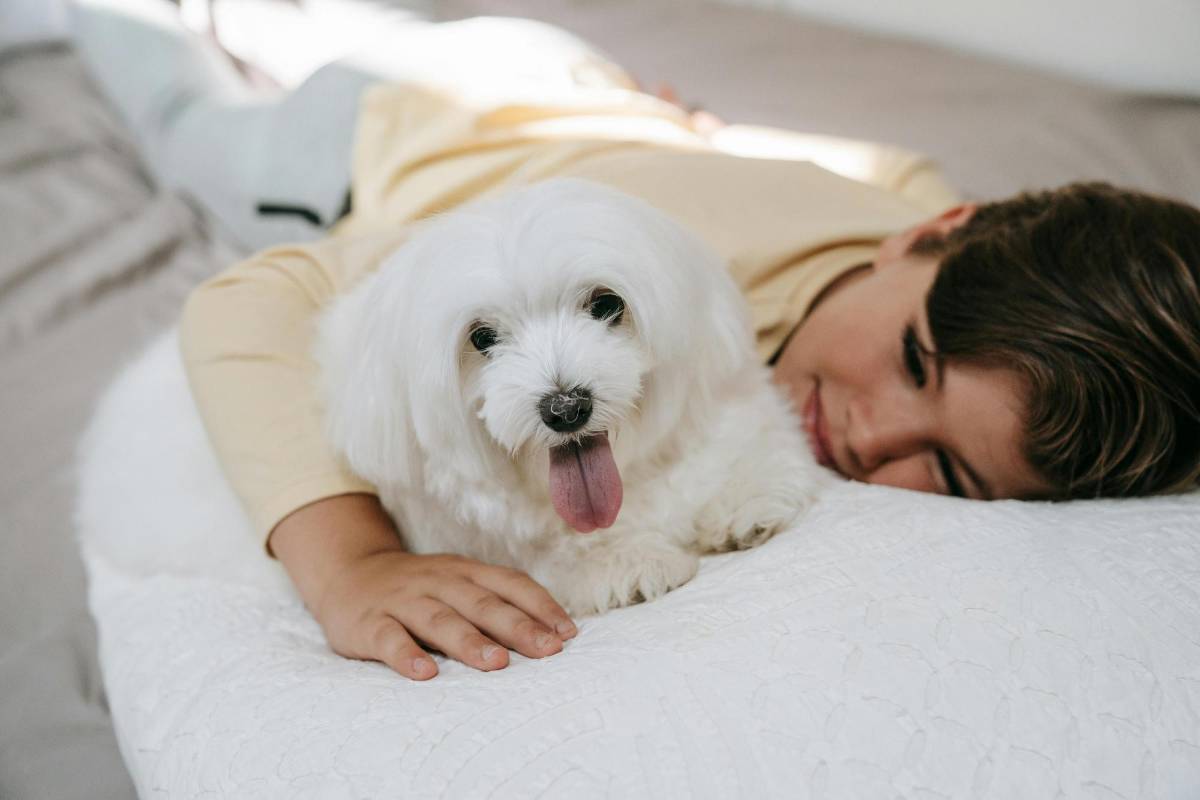 Riesgos y beneficios para los humanos de dormir con las mascotas