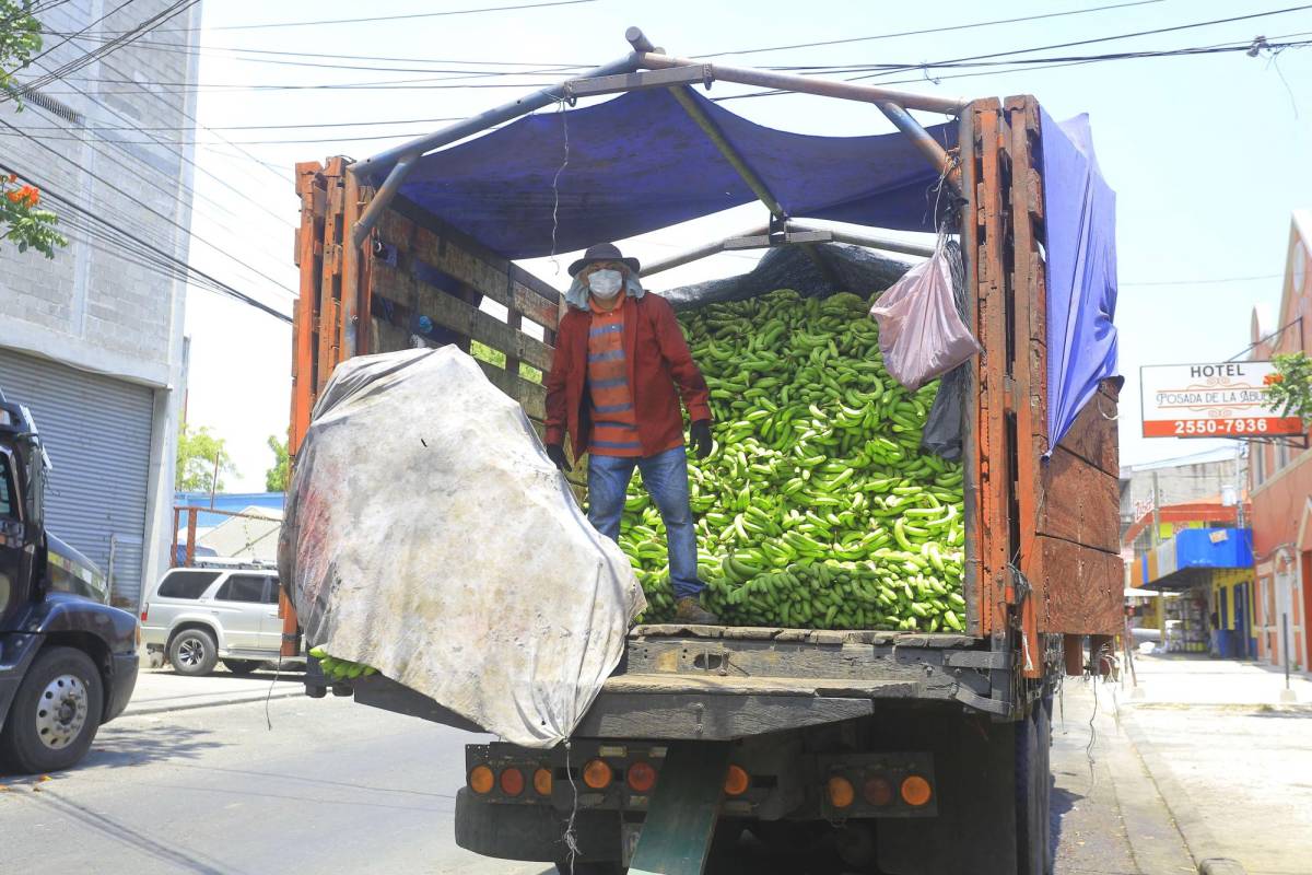 Honduras importó $3.1 millones en banano desde Guatemala durante 2021. De acuerdo con productores, más del 80% del banano que se comercializa en el territorio nacional proviene de dicho país.