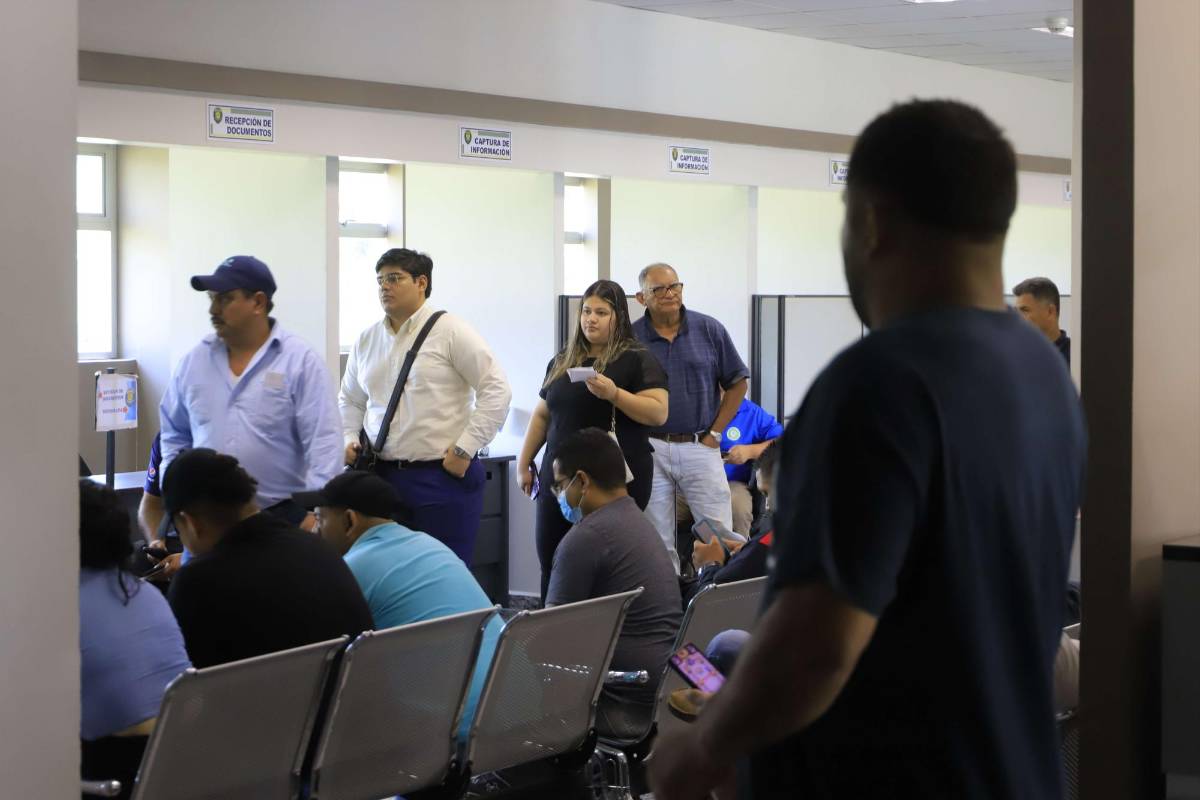 Retraso en emisión de licencias de conducir sigue causando pérdidas