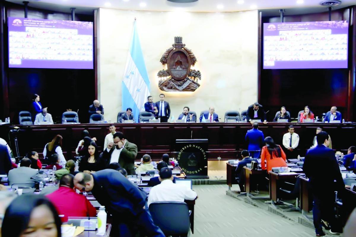 Estancada reforma electoral por falta de consenso en el CN